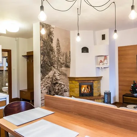 Daire Udanypobyt Kominkowe Zakopane